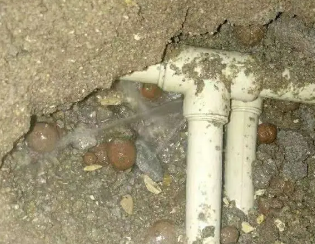 井研卫生间测漏