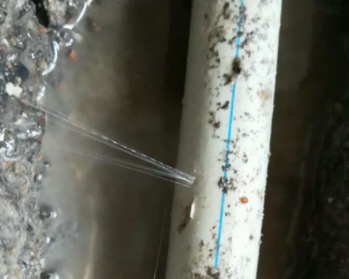 井研卫生间测漏水多少钱
